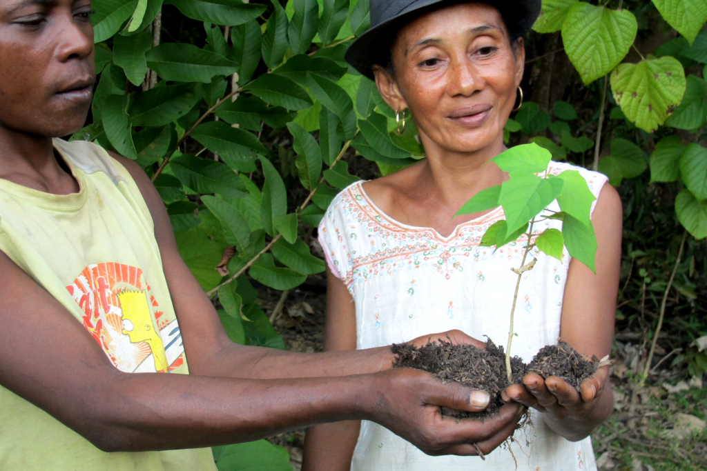 TreeSisters_-1024x683